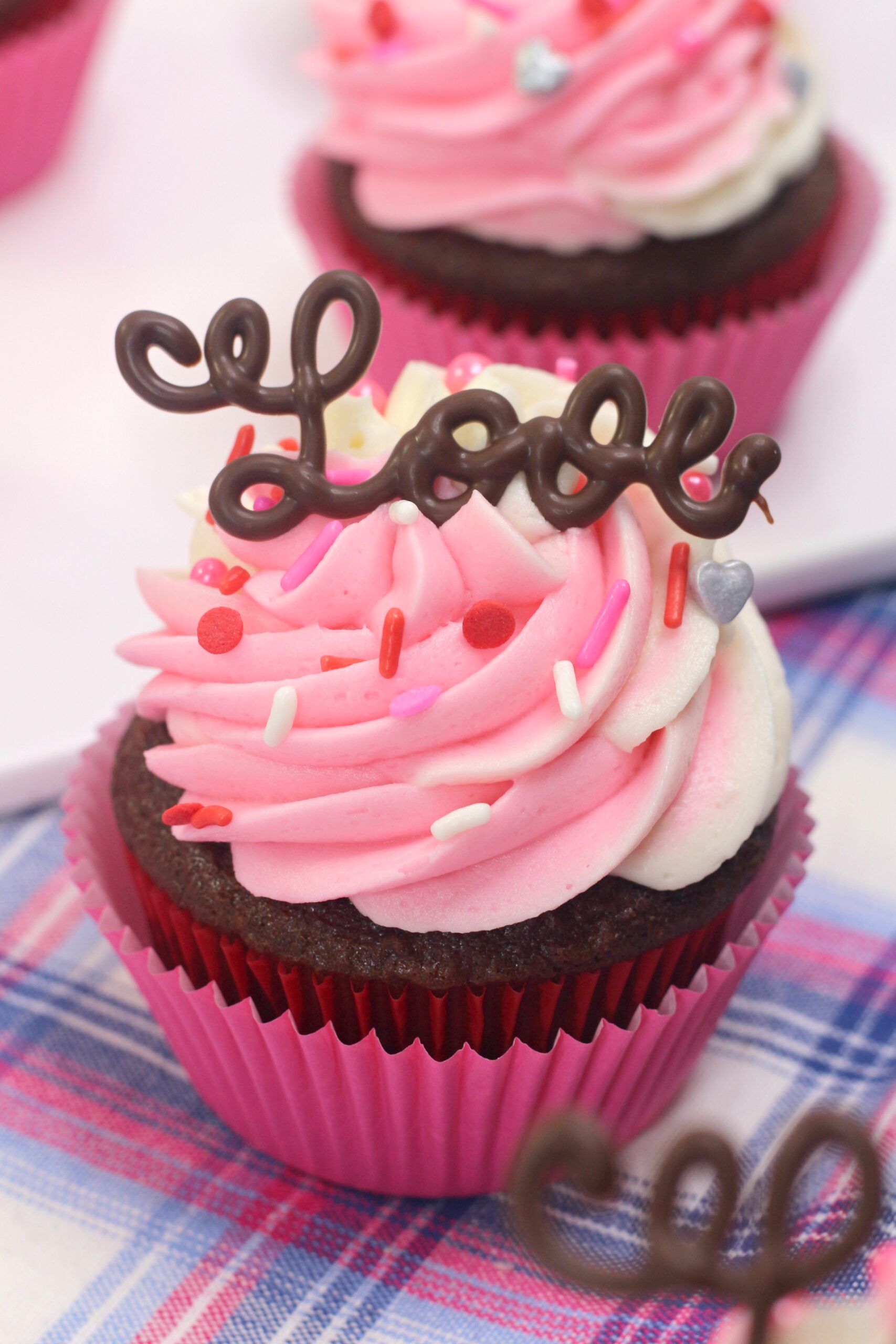 Chocolate Valentines Day Love Cupcake with White and Pink Frosting